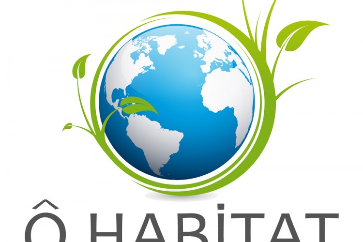 Ô HABITAT : Opérateur Global de la Rénovation Energétique Toulousain